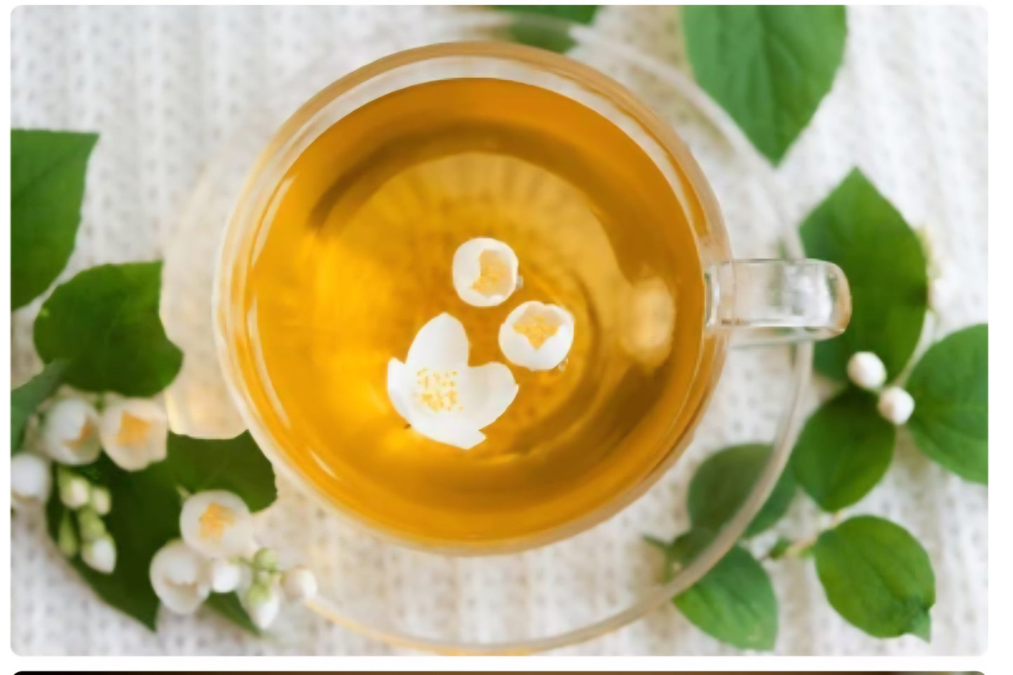 SuperFood Green -- Bright and Energizing