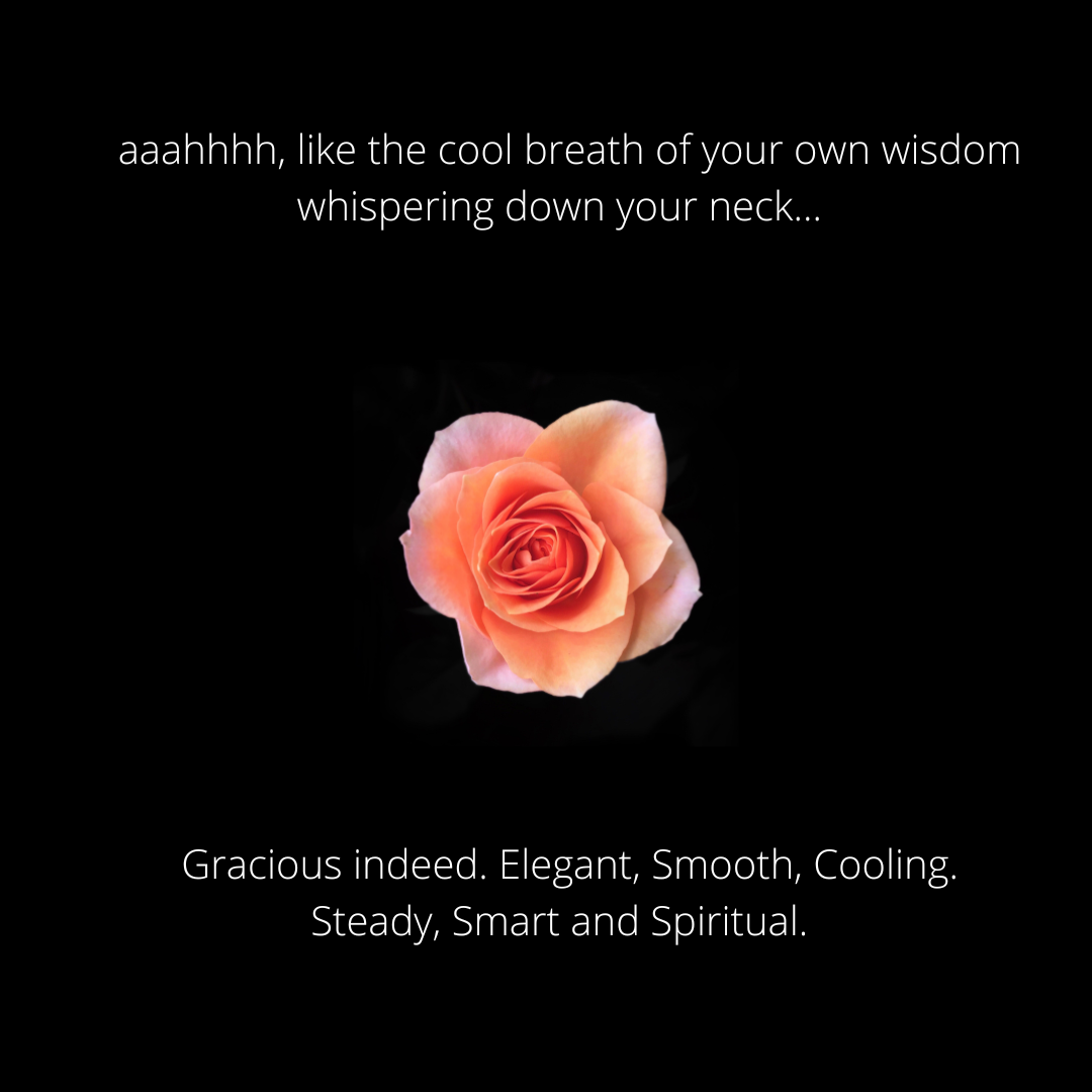 GRACE -- Nourishing Facial Oil