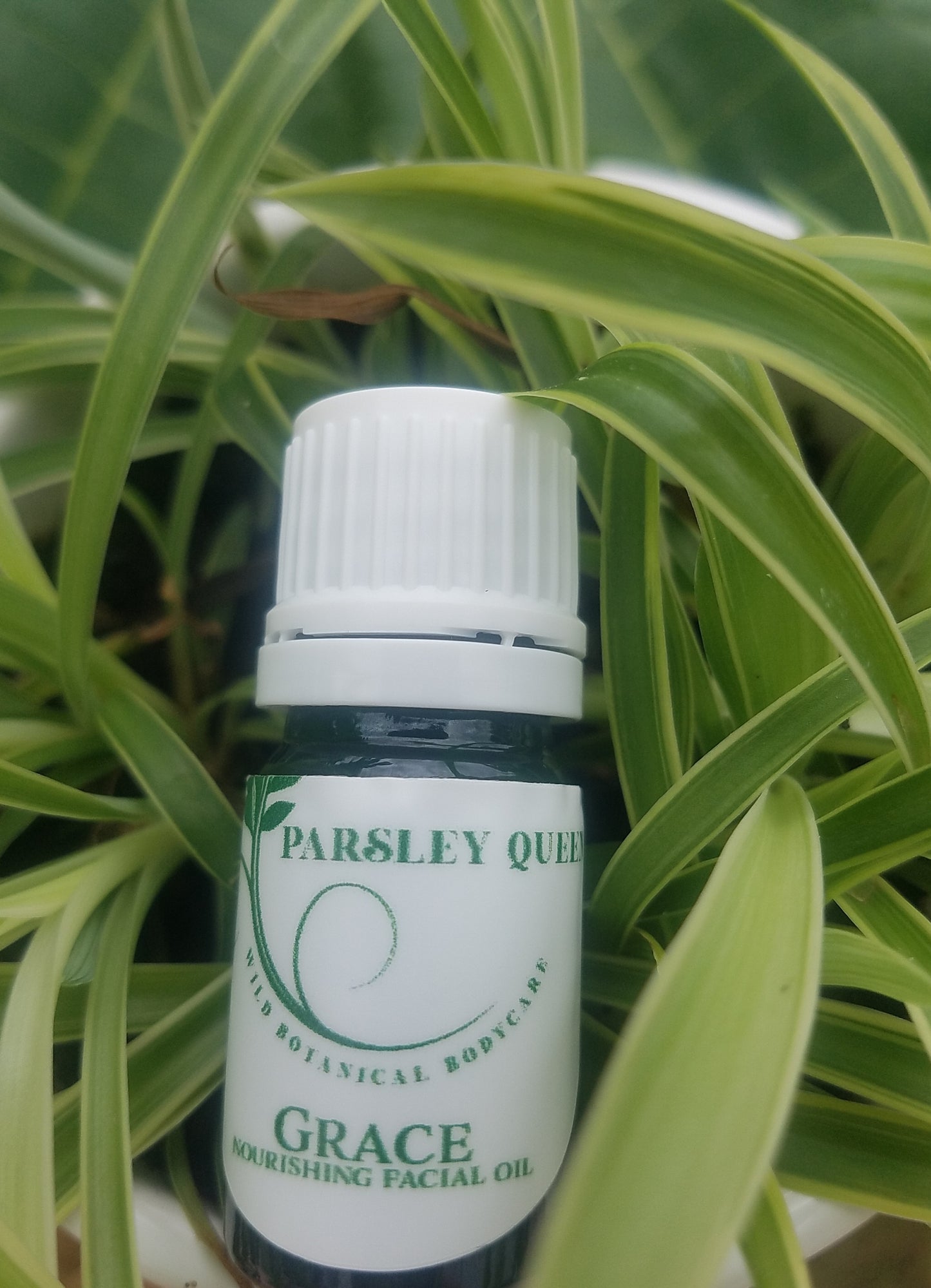 GRACE -- Nourishing Facial Oil