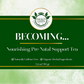 Becoming... Pre-Natal Pregnancy Support Tea