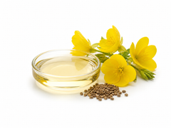Evening Primrose Oil