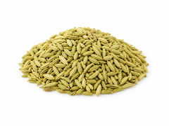 Fennel Seed