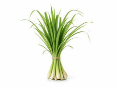 Lemongrass