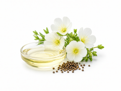 Meadowfoam Oil