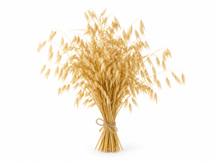 Oat Straw