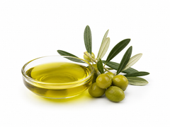 Olive Oil