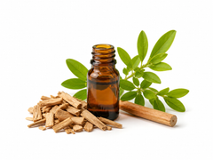 Sandalwood Essential Oil