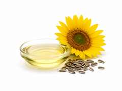 Sunflower Oil