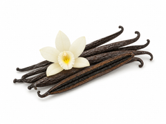 Vanilla